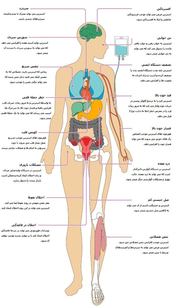 تاثیر استرس مزمن بر بدن