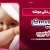 بازی دالی موشه چیست