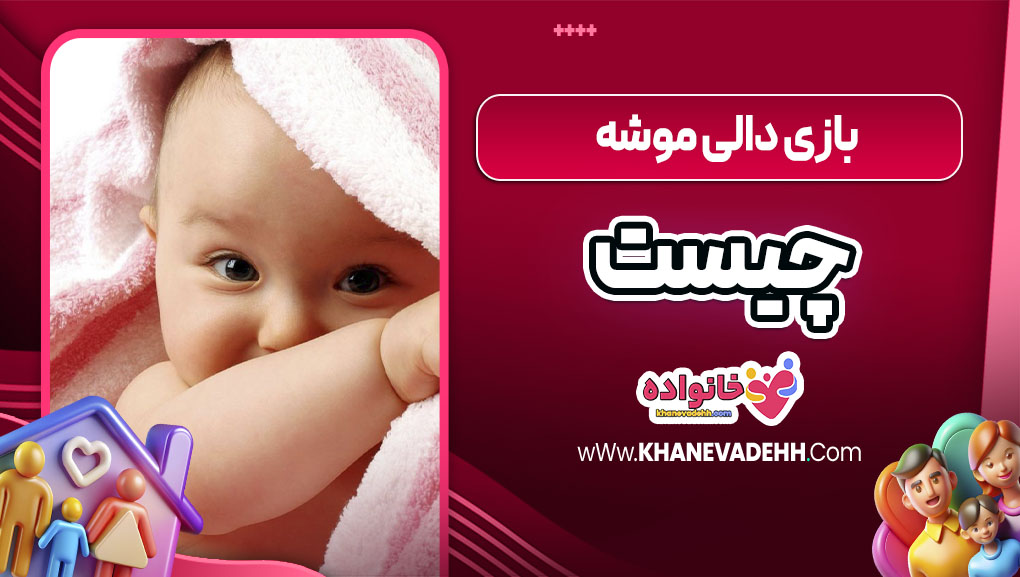 بازی دالی موشه چیست
