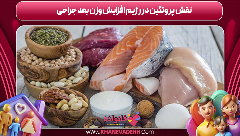 نقش پروتئین در رژیم افزایش وزن بعد جراحی